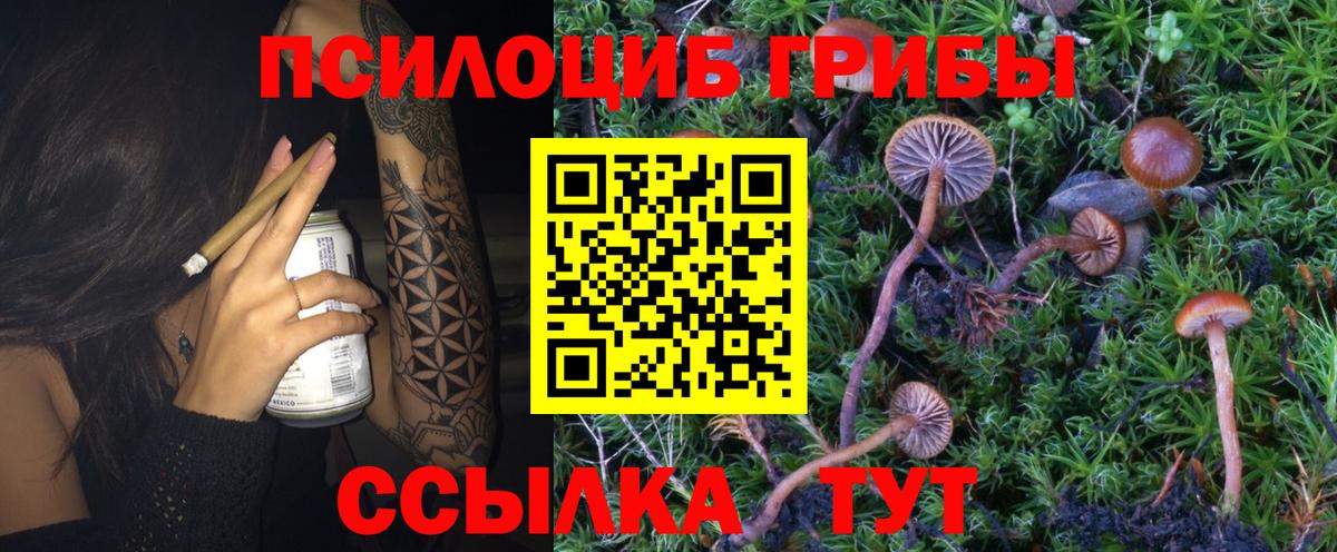 Вышний Волочёк  Псилоцибиновые грибы мухоморы  Вход с VPN  Галлюциногенные грибы ЛСД 