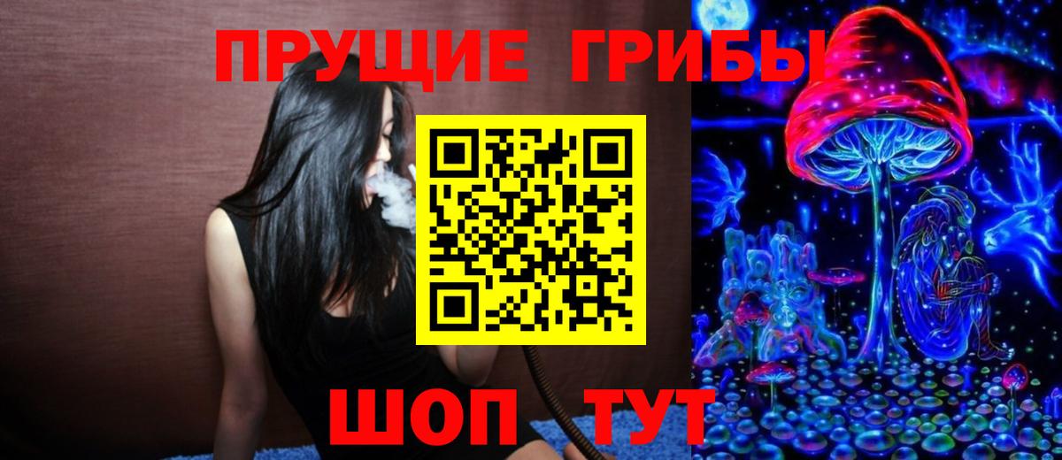 Псилоцибиновые грибы Cubensis Вышний Волочёк